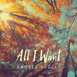 Album cover of All I Want