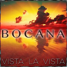 Album cover of Vista la Vista