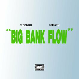Album cover of Big Bank Flow (feat. SheeshTj)