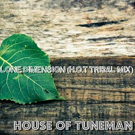 Album cover of Lone Dimension (H.O.T Tribal Mix)