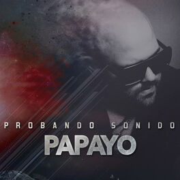 Album cover of Probando Sonido