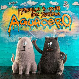 Album cover of Aguacero