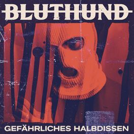Album cover of Gefährliches Halbdissen
