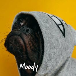 Album cover of Moody (feat. Kideko, TCTS & Just Kiddin)