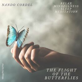 Album cover of The Flight of the Butterflies