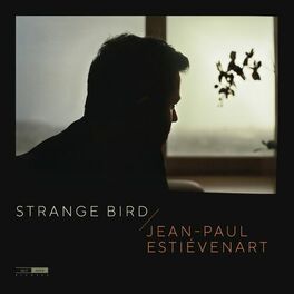 Album cover of Strange Bird