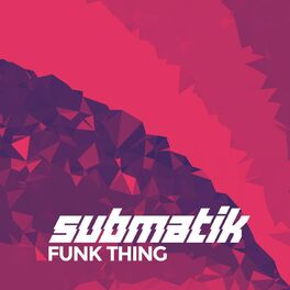 Album cover of Funk Thing
