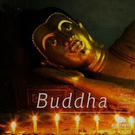 Album cover of Buddha