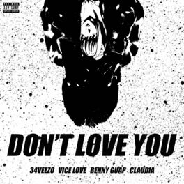 Album cover of Don't love you (feat. Vice love, Benny Guap & Claudia)