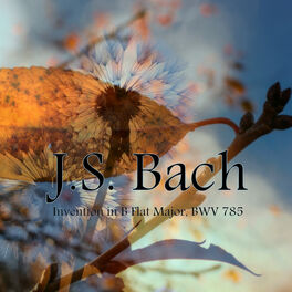 Album cover of Invention in B Flat Major, BWV 785
