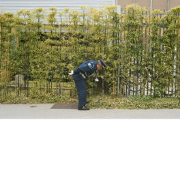 Album cover of Good Luck and Do Your Best