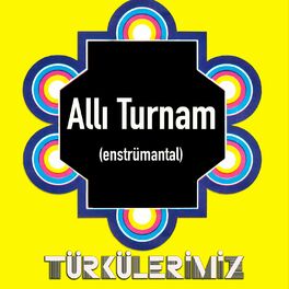 Album cover of Türkülerimiz / Allı Turnam (Enstrümantal)