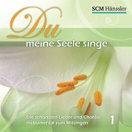Album cover of Du meine Seele singe