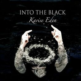 Album cover of Into the Black