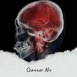 Album cover of Scanner Nic