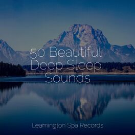 Album cover of 50 Beautiful Deep Sleep Sounds