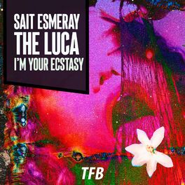 Album cover of I'm Your Ecstasy