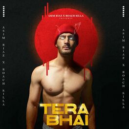 Album cover of Tera Bhai