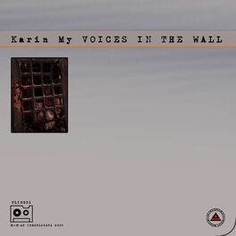 Album cover of Voice in the wall