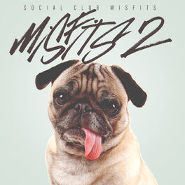 Social Club Misfits: albums, songs, playlists | Listen on Deezer