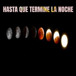 Album cover of Hasta que termine la noche