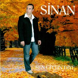 Album cover of Sen Gittin Diye