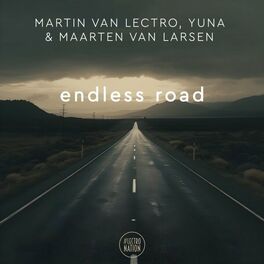 Album cover of Endless Road