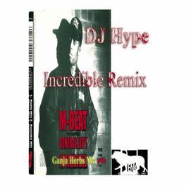 Album cover of Incredible Remix