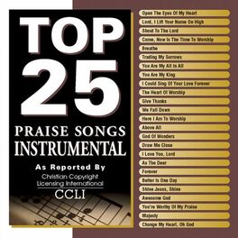 Album cover of Top 25 Praise Songs: Instrumental
