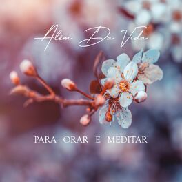 Album cover of Além Da Vida - Para Orar & Meditar