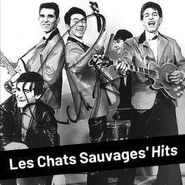 Album cover of Les Chats Sauvages' Hits