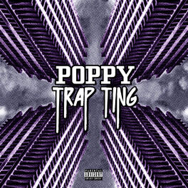 Album cover of Trap Ting