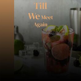 Album cover of Till We Meet Again