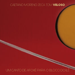 Album cover of Um Canto De Afoxé Para O Bloco Do Ilê (Ao Vivo)