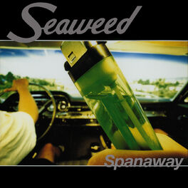 Album cover of Spanaway