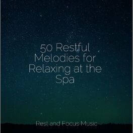 Album cover of 50 Restful Melodies for Relaxing at the Spa