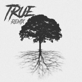 Album cover of True (Remix)