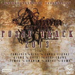 Album cover of Posse Track 2013