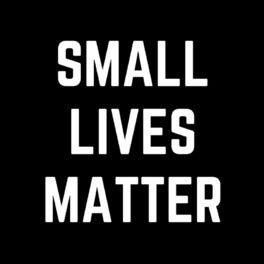 Album cover of Small Lives Matter