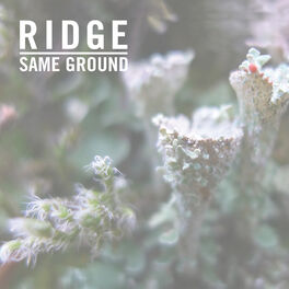 Album cover of Same Ground