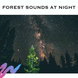 Album cover of Forest Sounds at Night