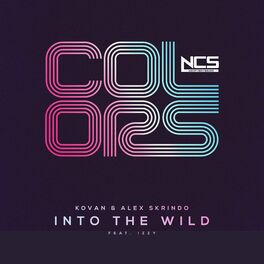 Album cover of Into The Wild