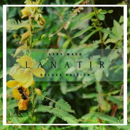 Album cover of Lanatir
