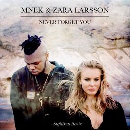 Album cover of Never Forget You (Mnek vs. Zara Larsson) [Stefiibeats Remix]
