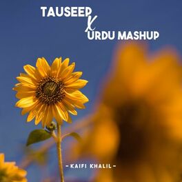Album cover of Tauseep X Urdu Mashup