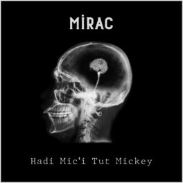 Album cover of Hadi Mic'i Tut Mickey