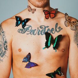 Album cover of Vlinders