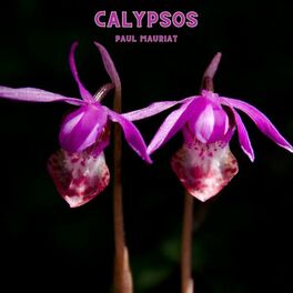 Album cover of Calypsos