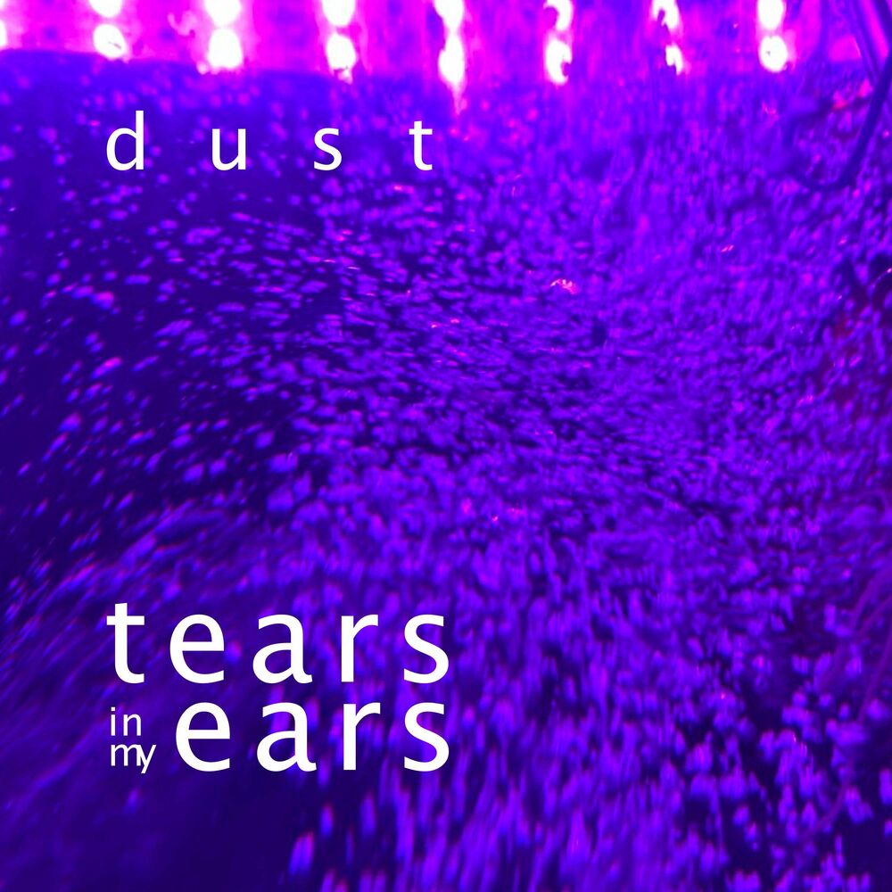 Dust song