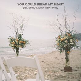 Album cover of You Could Break My Heart (feat. Lauren Weintraub)